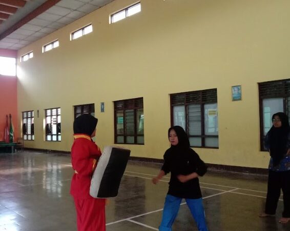 Ekstrakurikuler Tapak Suci Ekstrakurikuler Tapak Suci